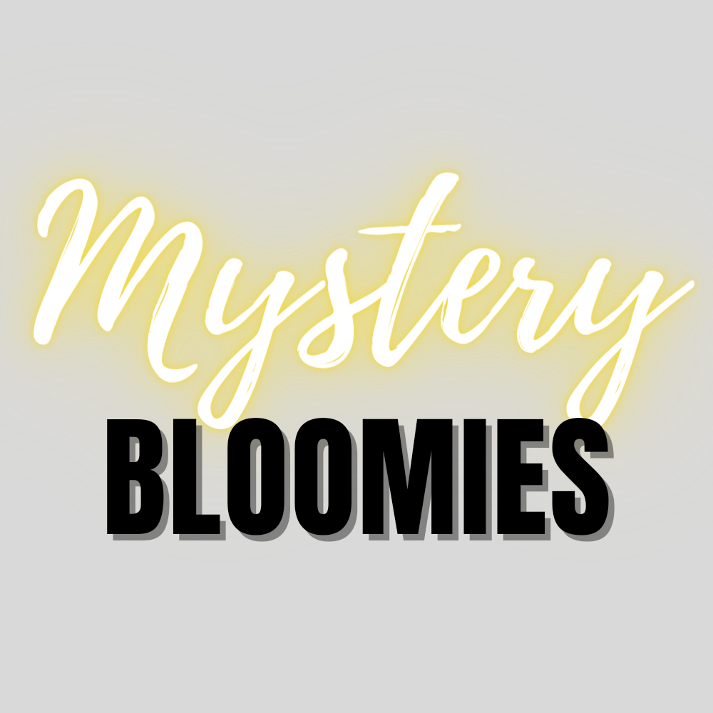 Mystery Bloomies